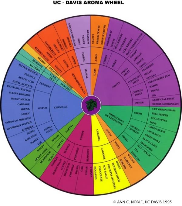 aroma wheel